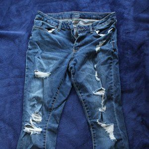 Ana Distressed Jeans/Jeggings